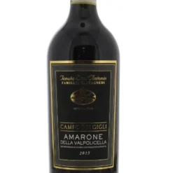 2015 | Tenuta San Antonio | Amarone Della Valpolicella Campo Dei Gigli