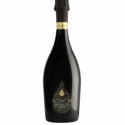 Accademia Black Champagne